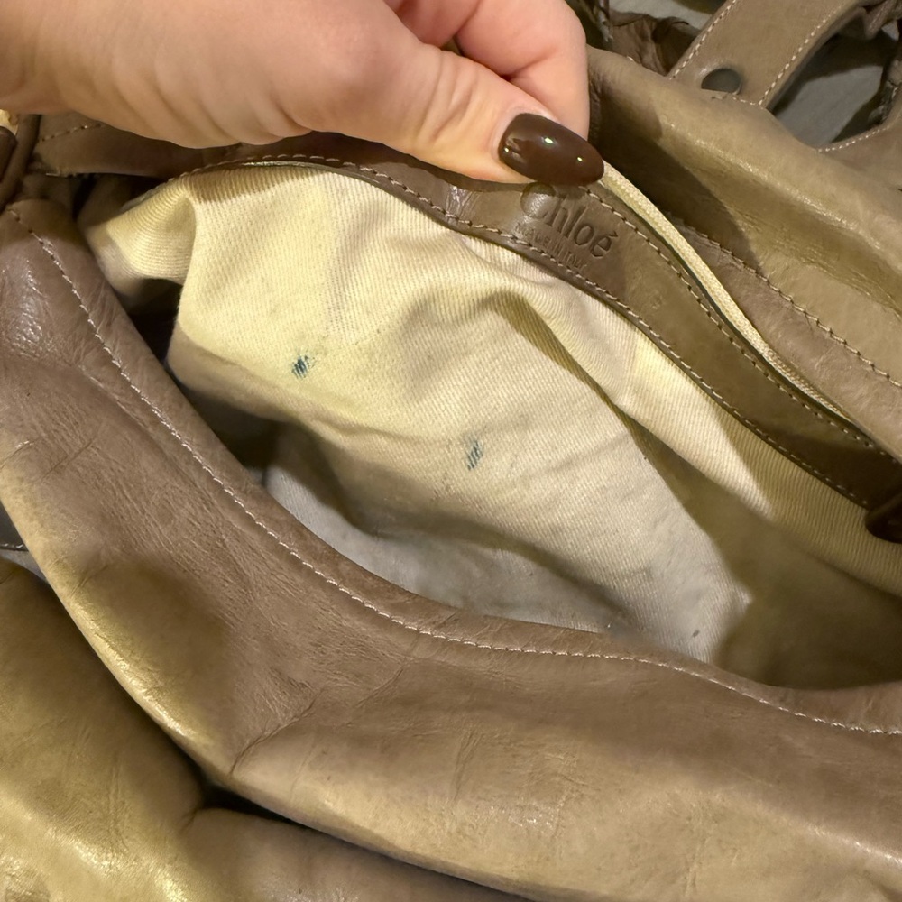 Chloé Silverado Python - Picture 8 of 16